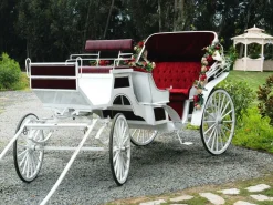 XXL-Planenbanner "Weiße Hochzeitskutsche" Aus Schwer Entflammbarer LKW-Plane 300 X 400 Cm