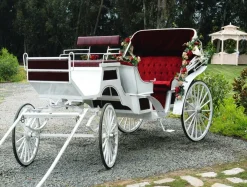 XXL-Planenbanner "Weiße Hochzeitskutsche" Aus Schwer Entflammbarer LKW-Plane 250 X 330 Cm