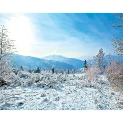 XXL-Planenbanner "Winterlandschaft" Aus Schwer Entflammbarer LKW-Plane 250 X 330 Cm