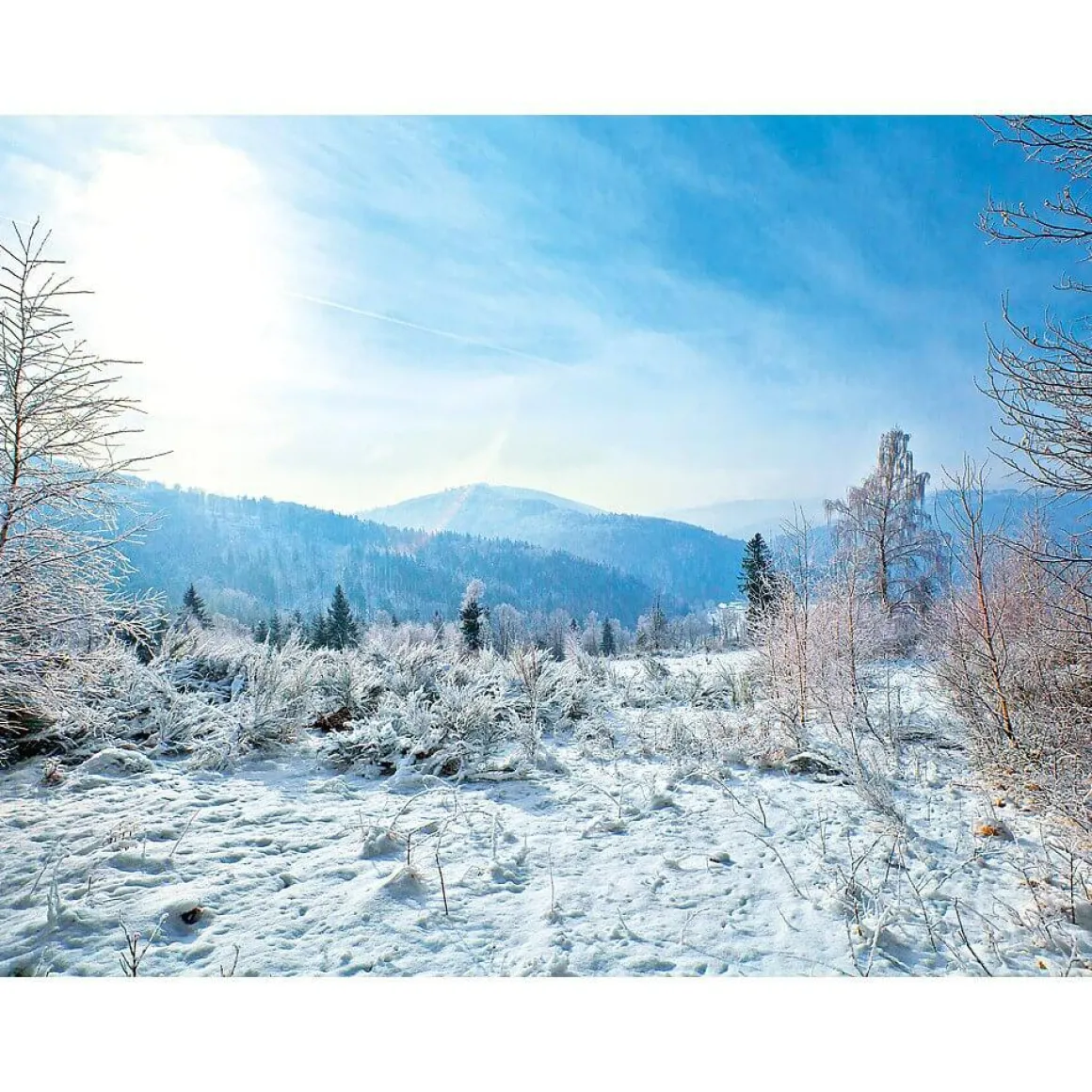 XXL-Planenbanner "Winterlandschaft" Aus Schwer Entflammbarer LKW-Plane 250 X 330 Cm