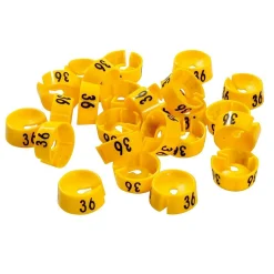 Zahlenreiter, Gelb Größe 36