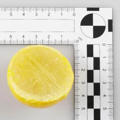Zitronenhälften Lebensmittel-Attrappe