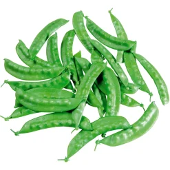 Zuckerschoten Lebensmittel-Attrappe, 24 Stück